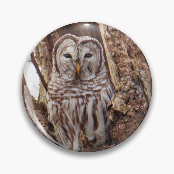 Item preview, Barred Owl  designed and sold by FlyingLilly.