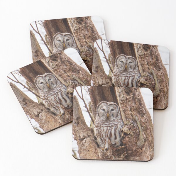 Item preview, Barred Owl  designed and sold by FlyingLilly.