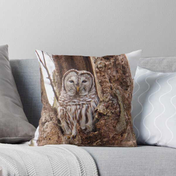 Item preview, Barred Owl  designed and sold by FlyingLilly.