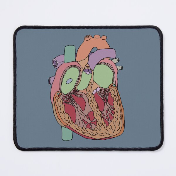 Item preview, Heart anatomy biology doodle  designed and sold by Hannahhh-banana.