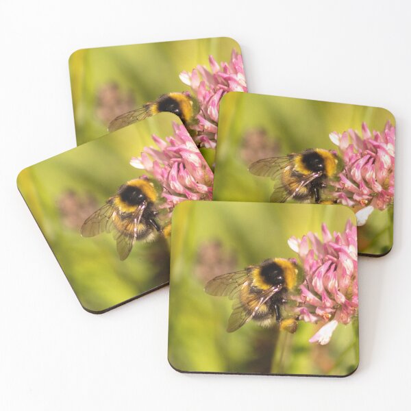 Item preview, BuzzyBee designed and sold by charliraptor.
