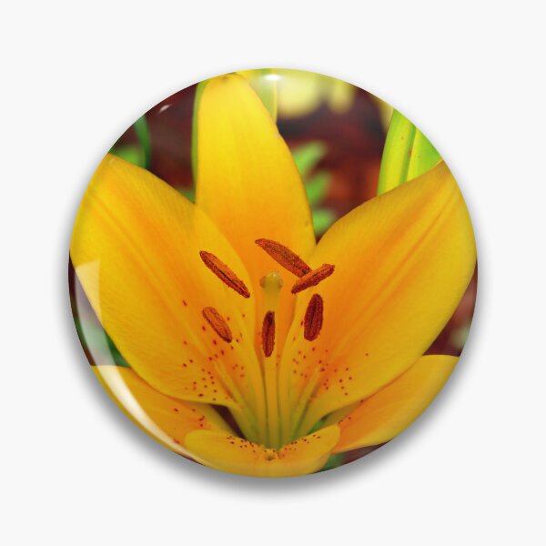 Item preview, Yellow Day Lily Closeup designed and sold by BostonArcImage.