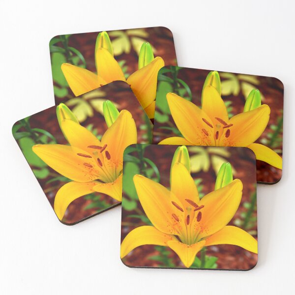 Item preview, Yellow Day Lily Closeup designed and sold by BostonArcImage.