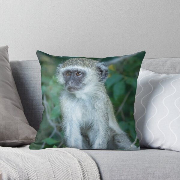Item preview, Vervet Monkey Botswana Africa designed and sold by PhotoArt by Joan Carroll.