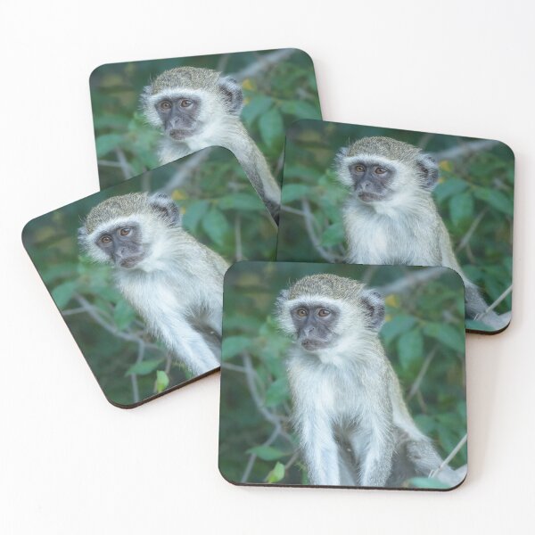 Item preview, Vervet Monkey Botswana Africa designed and sold by PhotoArt by Joan Carroll.