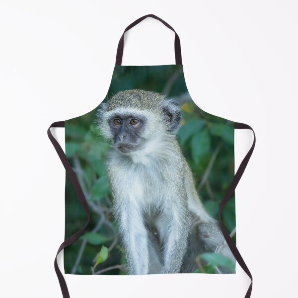 Item preview, Vervet Monkey Botswana Africa designed and sold by PhotoArt by Joan Carroll.