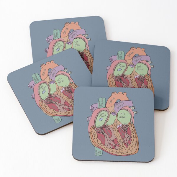 Item preview, Annotated heart anatomy biology doodle  designed and sold by Hannahhh-banana.