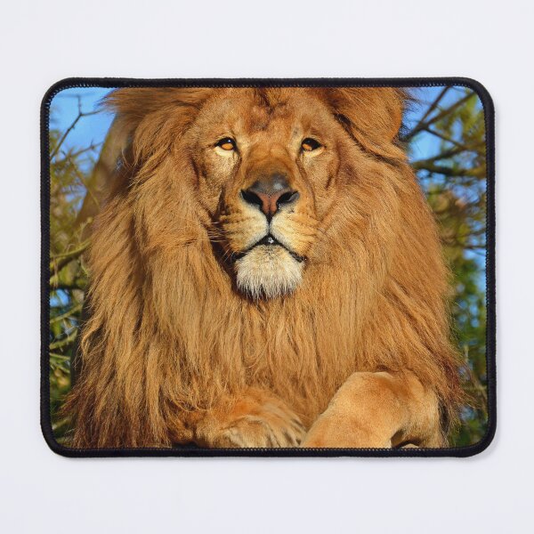 Item preview, Lion designed and sold by KNBS.