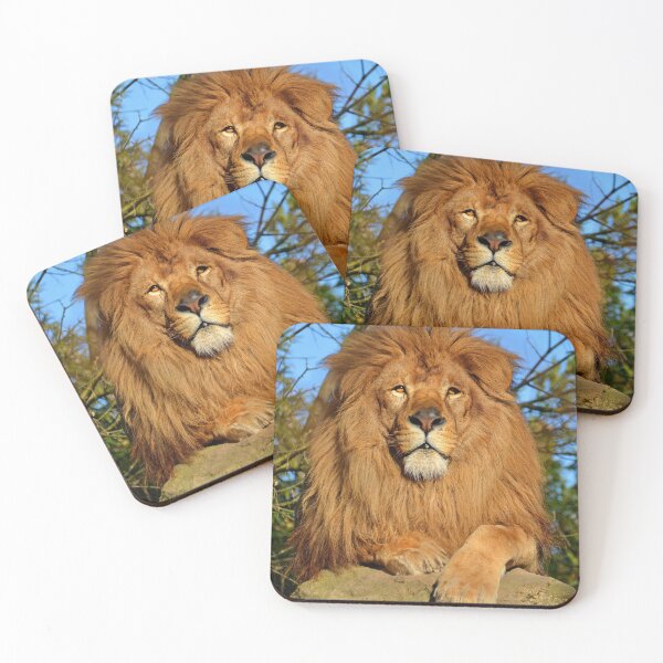Item preview, Lion designed and sold by KNBS.