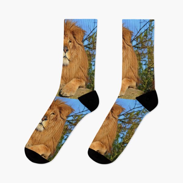 Item preview, Lion designed and sold by KNBS.