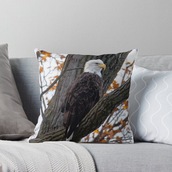 Item preview, bald eagle in a tree designed and sold by FlyingLilly.