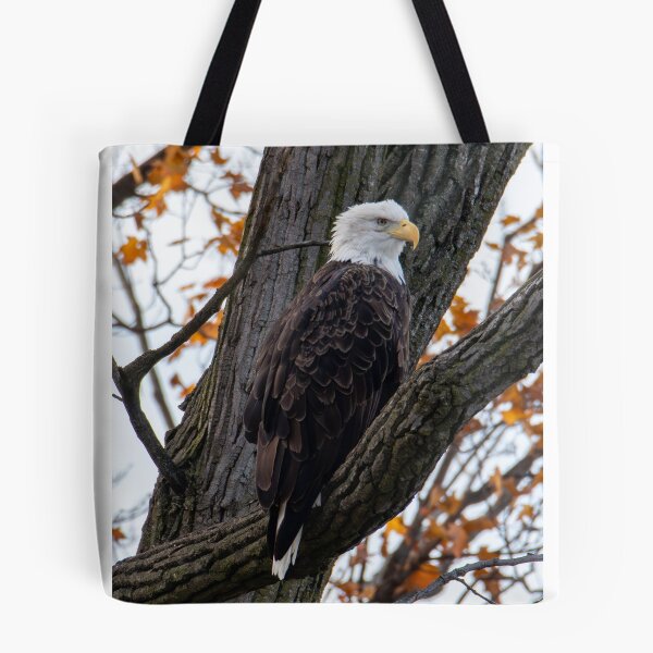 Item preview, bald eagle in a tree designed and sold by FlyingLilly.