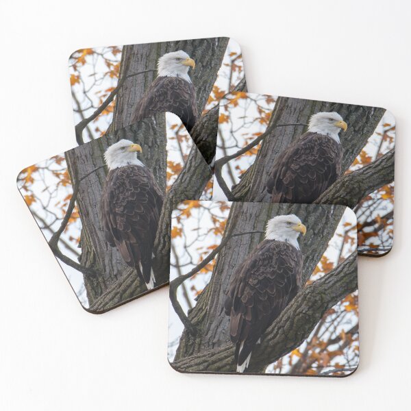Item preview, bald eagle in a tree designed and sold by FlyingLilly.
