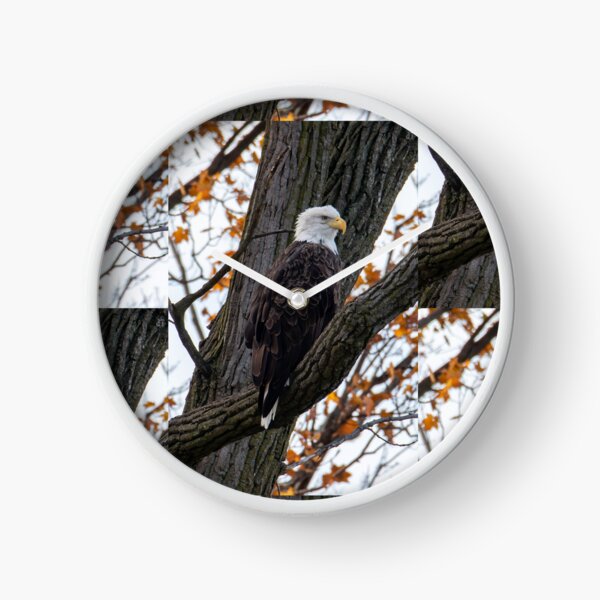 Item preview, bald eagle in a tree designed and sold by FlyingLilly.