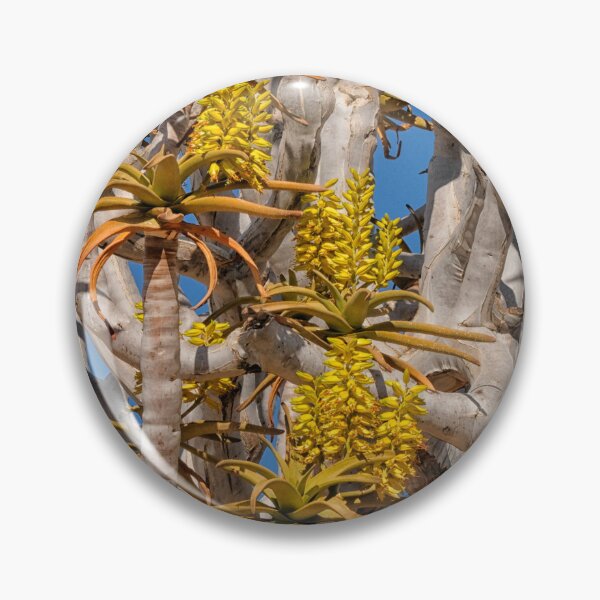 Item preview, Yellow flowers on quiver tree designed and sold by Photopat.