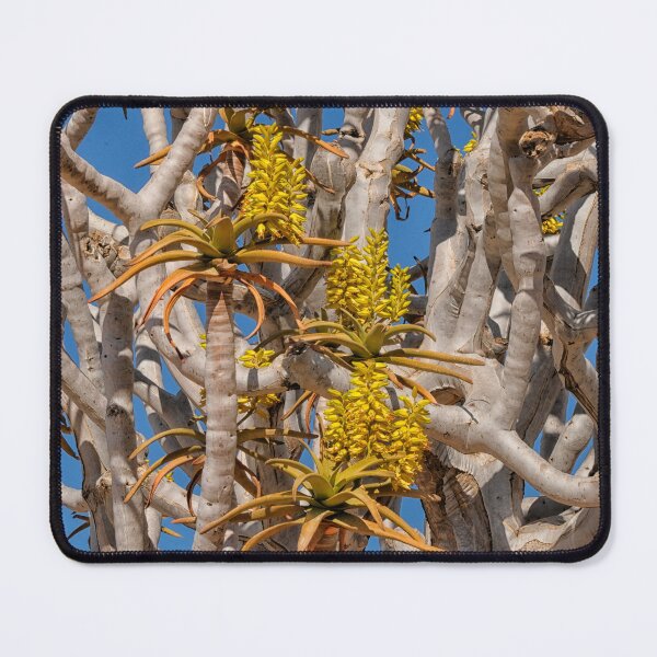 Item preview, Yellow flowers on quiver tree designed and sold by Photopat.