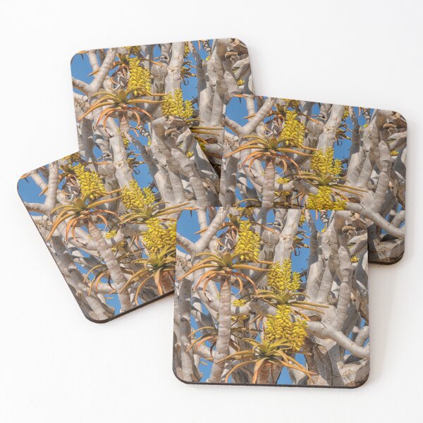 Item preview, Yellow flowers on quiver tree designed and sold by Photopat.