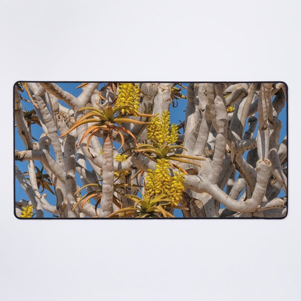 Item preview, Yellow flowers on quiver tree designed and sold by Photopat.