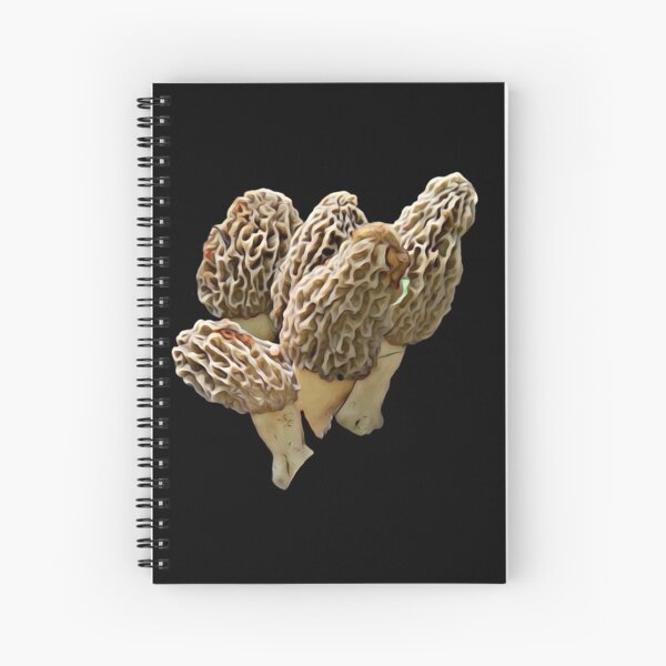 Item preview, Natural 4 packer of Morel Mushrooms designed and sold by natnat7w.