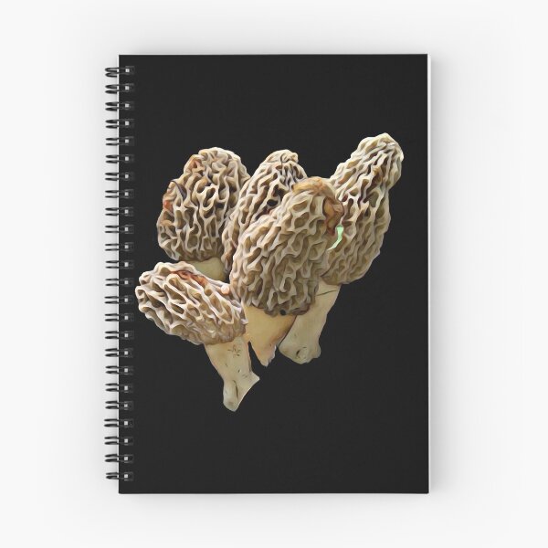 Item preview, Natural 4 packer of Morel Mushrooms designed and sold by natnat7w.