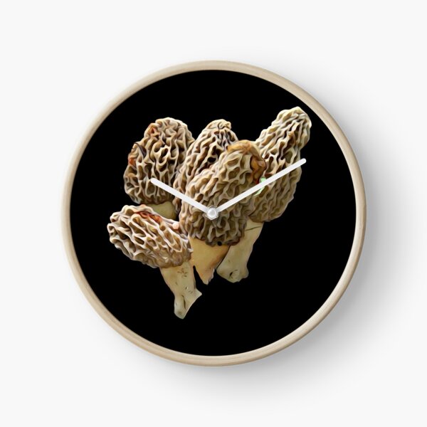 Item preview, Natural 4 packer of Morel Mushrooms designed and sold by natnat7w.