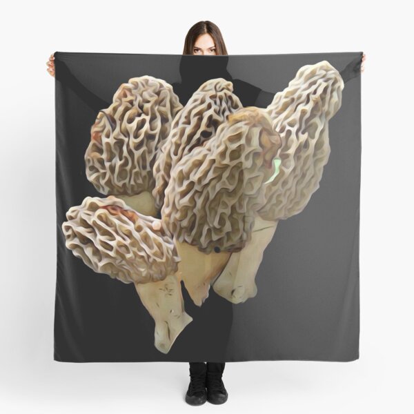 Item preview, Natural 4 packer of Morel Mushrooms designed and sold by natnat7w.