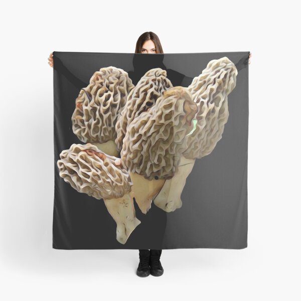 Item preview, Natural 4 packer of Morel Mushrooms designed and sold by natnat7w.