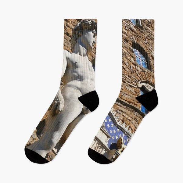 Item preview, DAVID. Palazzo Vecchio. Florence designed and sold by Tereza Pilar  Art.