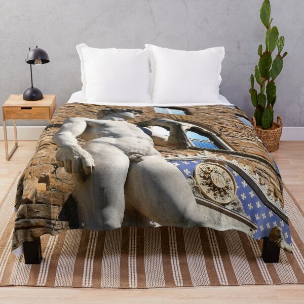 Item preview, DAVID. Palazzo Vecchio. Florence designed and sold by Tereza Pilar  Art.