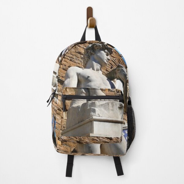 Item preview, DAVID. Palazzo Vecchio. Florence designed and sold by Tereza Pilar  Art.