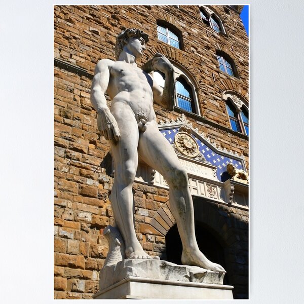 Item preview, DAVID. Palazzo Vecchio. Florence designed and sold by Tereza Pilar  Art.