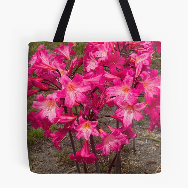 Item preview, Belladonnas, Streetside in Berwick, Australia. designed and sold by johnrf.