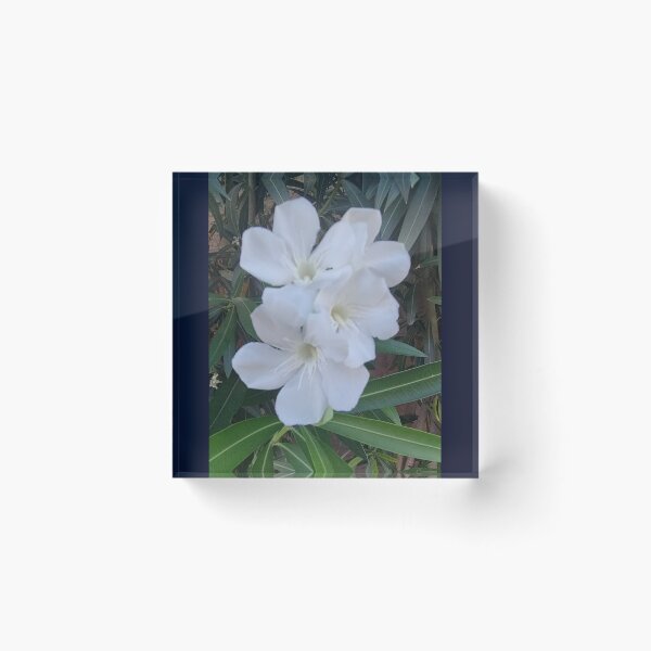 Item preview, Beautiful flowers! designed and sold by Agift4u.