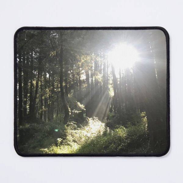 Item preview, Sunlight ray through woods designed and sold by RexStreet.
