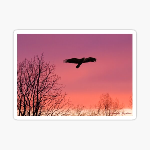 Item preview, Dundas Valley Sunset designed and sold by PixlPixi.