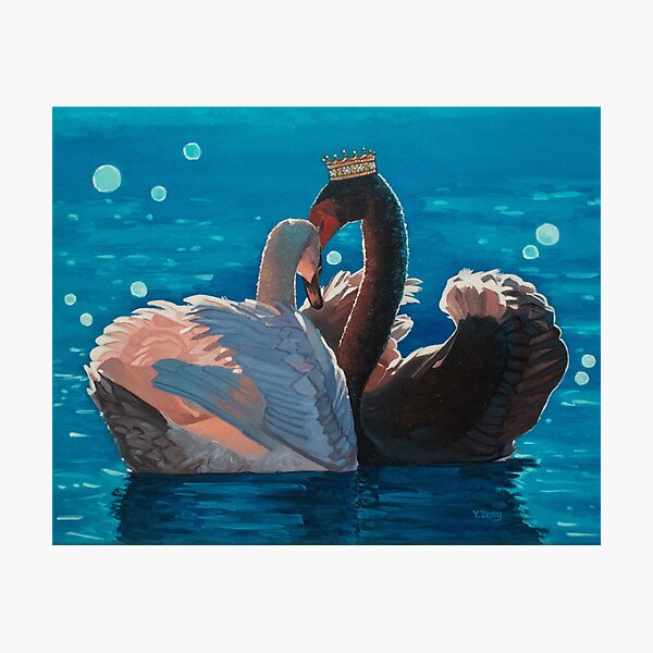 Artikelvorschau, Königspaar schwarz-weißer Schwan entworfen und verkauft von Yue Zeng Art Studio.