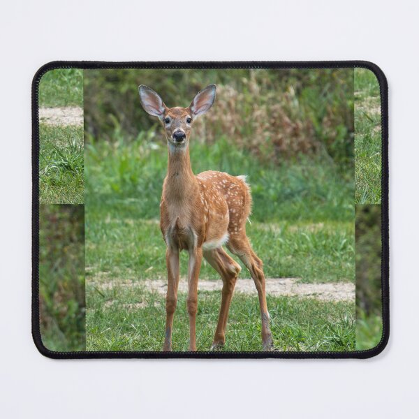 Item preview, young deer designed and sold by FlyingLilly.