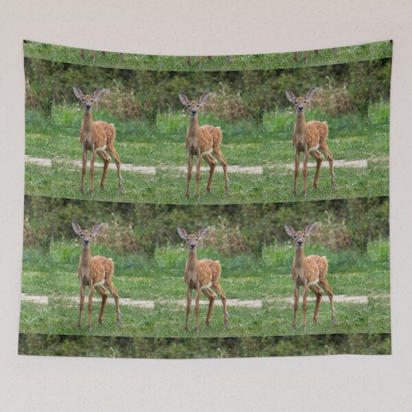 Item preview, young deer designed and sold by FlyingLilly.