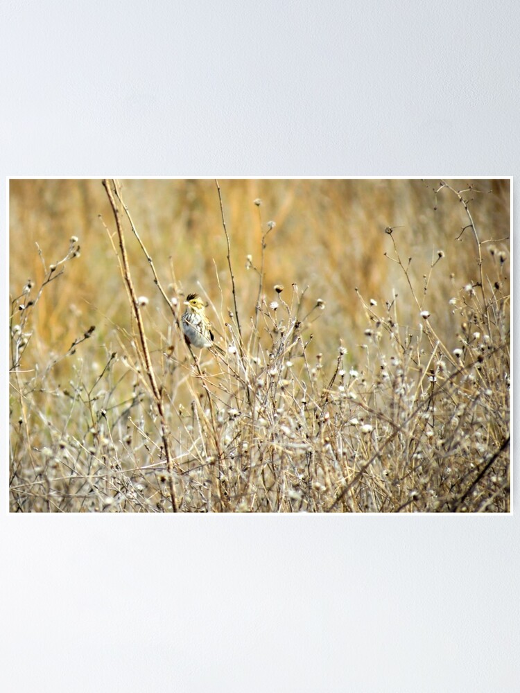 Thumbnail 1 of 3, Poster, Hidden Bird designed and sold by Reriginal.