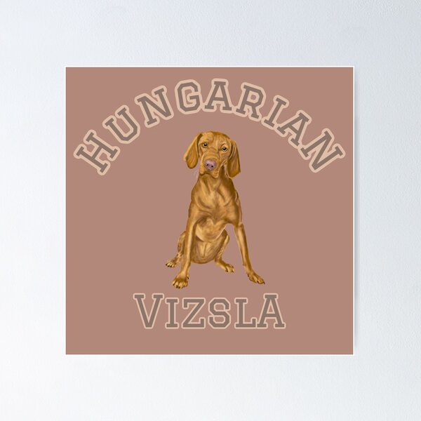 Item preview, Escuela húngara Vizsla Varsity Style designed and sold by barksandsqueaks.