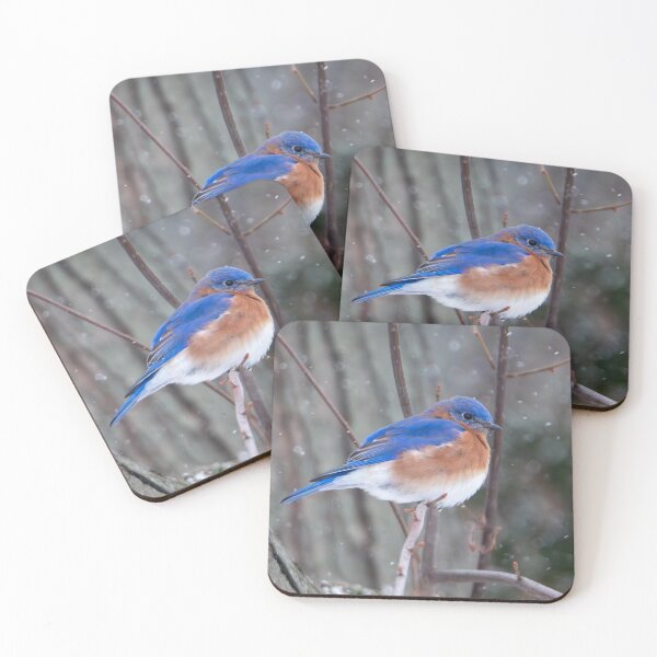 Item preview, Winter bluebird designed and sold by FlyingLilly.