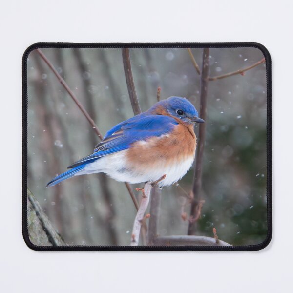Item preview, Pájaro azul de invierno designed and sold by FlyingLilly.