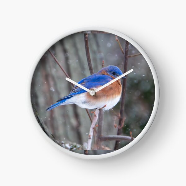 Item preview, Winter bluebird designed and sold by FlyingLilly.
