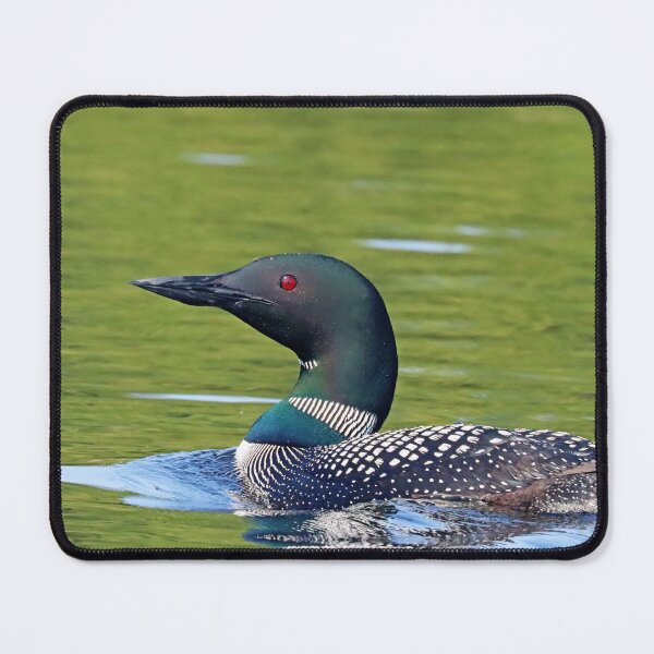 Item preview, Common Loon designed and sold by Deb Oppermann.