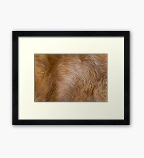 Dog Fur Framed Print
