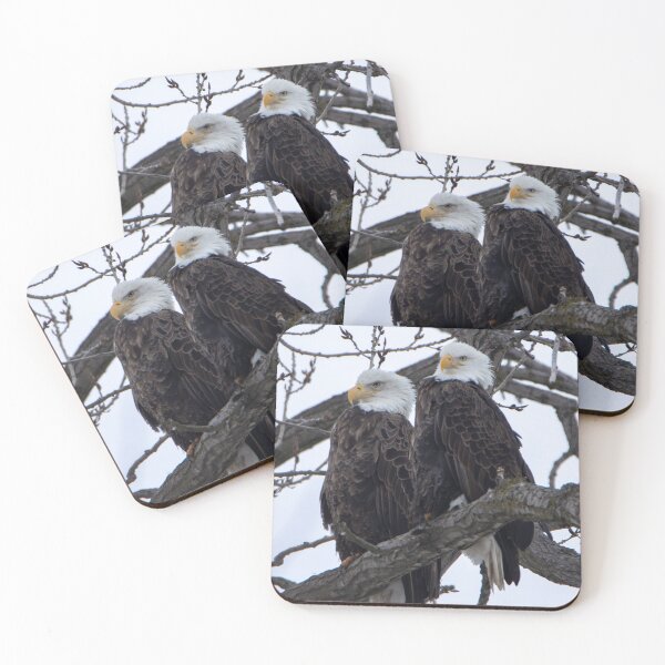 Item preview, bald eagles designed and sold by FlyingLilly.