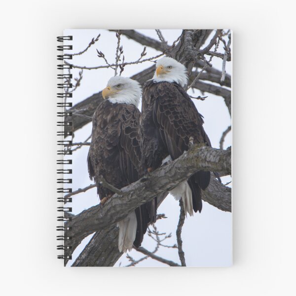 Item preview, bald eagles designed and sold by FlyingLilly.