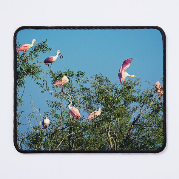 Item preview, Roseate Spoonbills designed and sold by irishmurr.