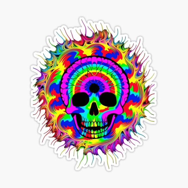 Rainbow buy third eye skull embroidery