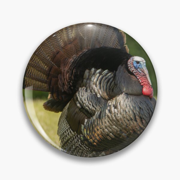 Item preview, Tom Turkey designed and sold by FlyingLilly.
